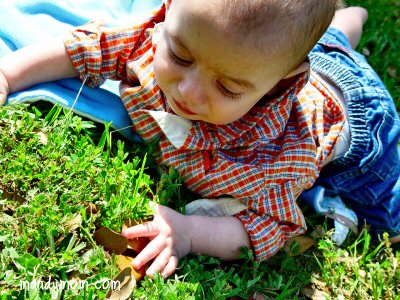 (C) 2008 MandyMom.com